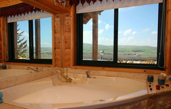 אביב בכרם - בקתות עץ - ������ �רמות נפתלי - ������ ����